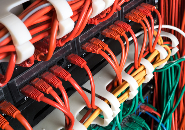 Красные сетевые кабели подключены к коммутатору
 - Фото, изображение