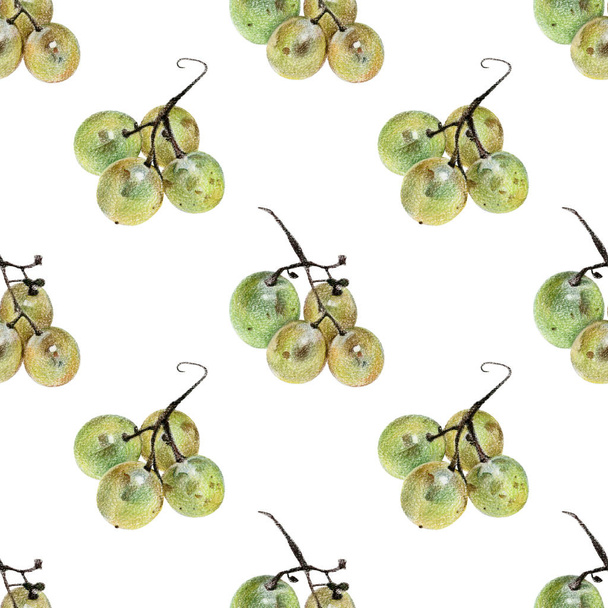 Seamless pattern with green grapes drawn by hand with colored pencil - Foto, Imagen