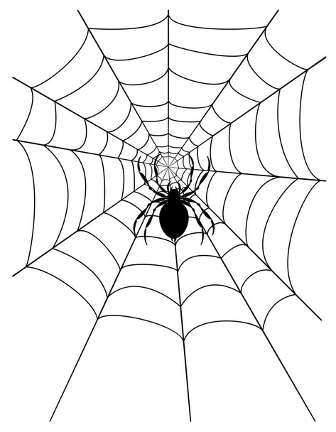 spider web stock vector illustration - Διάνυσμα, εικόνα