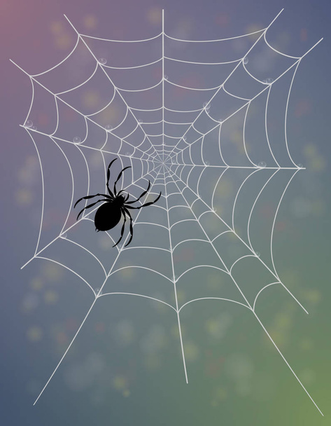 spider web vector illustration - Vetor, Imagem