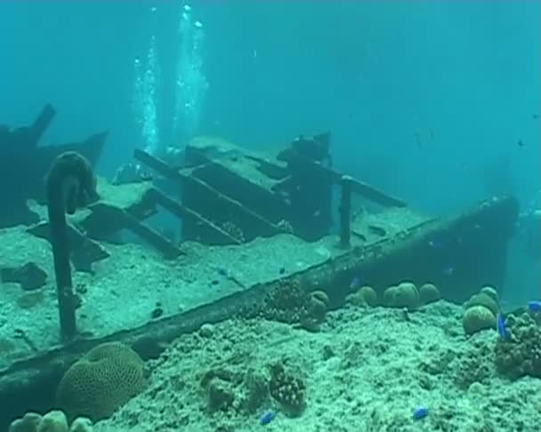 naufrágio navio vídeo mergulho subaquático
 - Filmagem, Vídeo