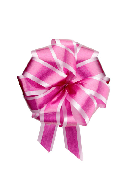 Gift bow - Photo, Image