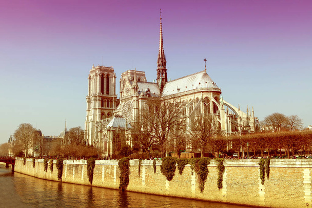 Notre-Dame-Kathedrale - Foto, Bild