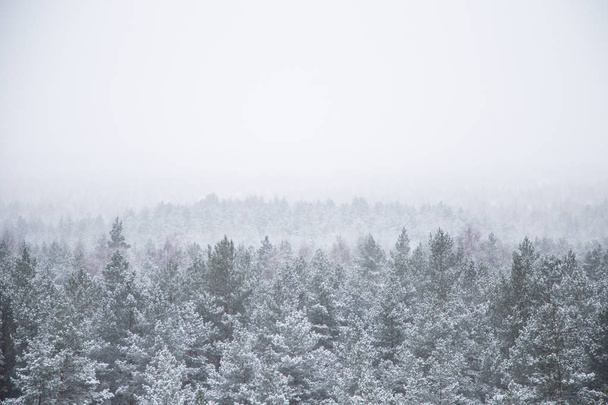 Красивый зимний пейзаж северной Европы
 - Фото, изображение