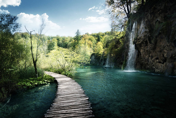 Vízesés az erdőben, Plitvice, Horvátország - Fotó, kép