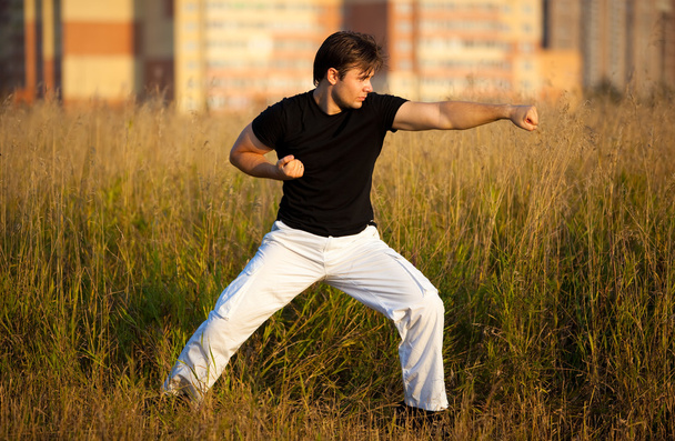 Young athletic man martial art training - Фото, изображение