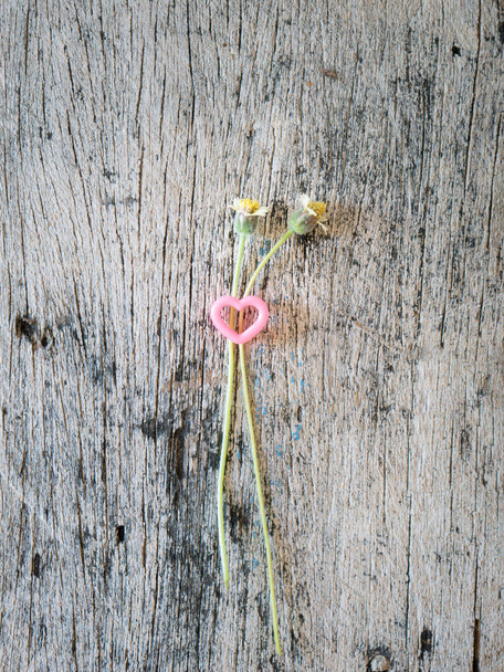 Pár virág fű és fa rózsaszín szív. - Fotó, kép