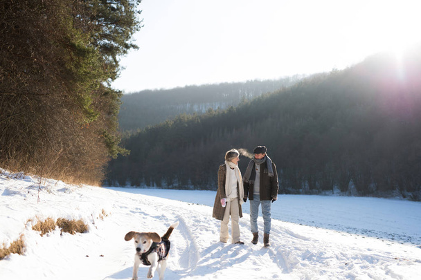 Beautiful senior couple on a walk on sunny winter day - Fotografie, Obrázek