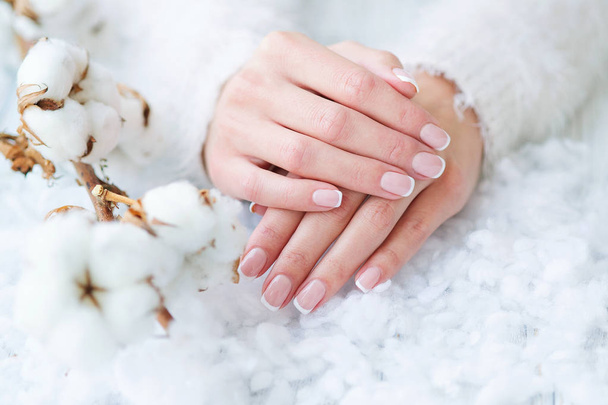 French manicure and delicate white cotton flower - Foto, immagini