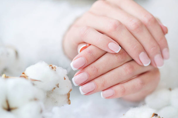 French manicure and delicate white cotton flower - Foto, immagini