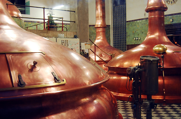 Hasen Brau bira fabrikası - Fotoğraf, Görsel