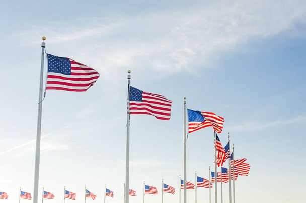 Αμερικανικές σημαίες, Ουάσινγκτον, Περιφέρεια της Κολούμπια - Φωτογραφία, εικόνα