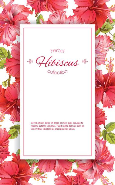 Hibiscus çiçek afiş - Vektör, Görsel