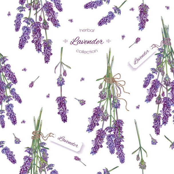 Lavender seamless pattern - Vettoriali, immagini