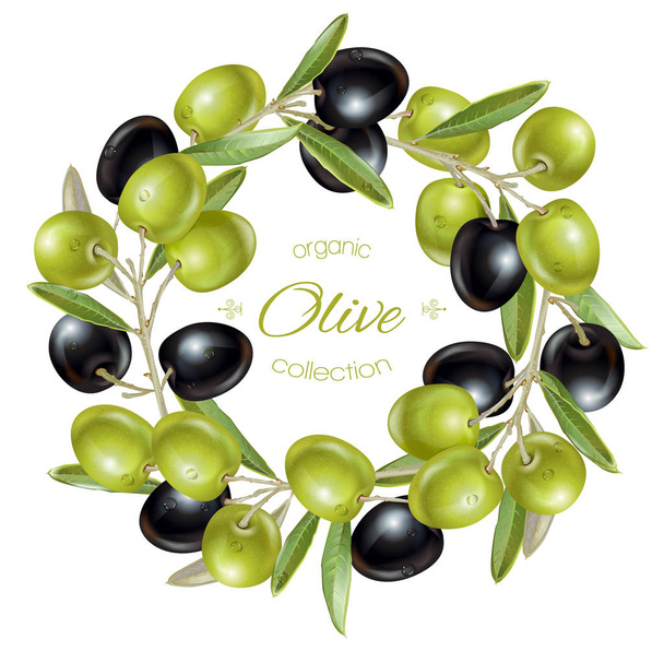 Olive wreath banners - Вектор, зображення