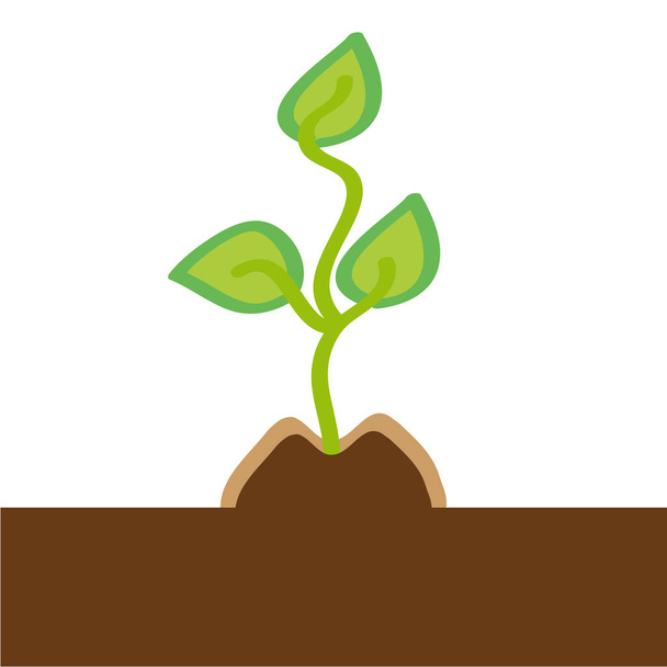 Small plant on white background. - Vector, Imagen