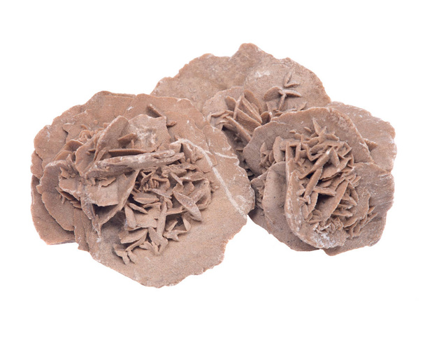 Цыганская песчаная роза
 - Фото, изображение