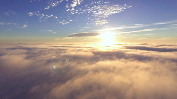 vlucht over mist vroeg in de ochtend - Video