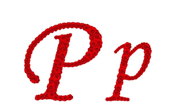 Alfabeto rosa - Letra del alfabeto P y p hecha de rosa roja
 - Foto, Imagen