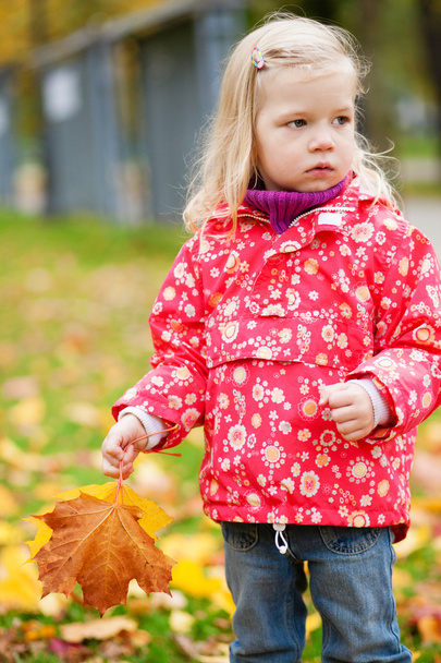 Adorable little girl with yellow maple leaves - 写真・画像