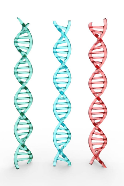 tres estructuras de ADN sobre fondo blanco
 - Foto, Imagen