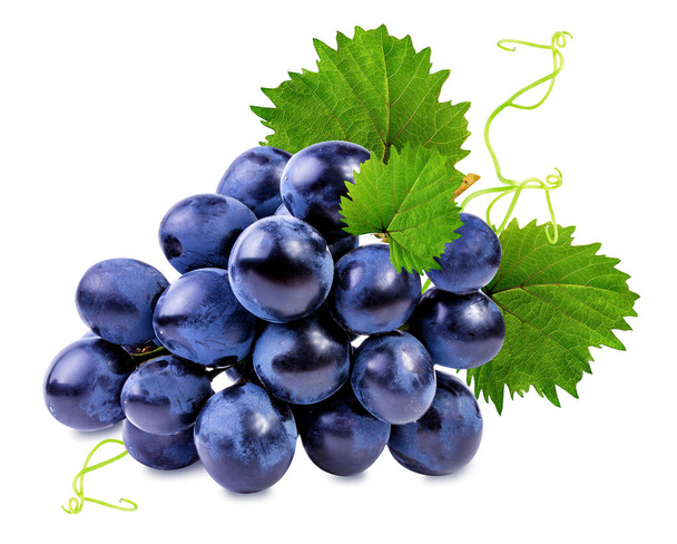grapes isolated on the white  - Photo, Image