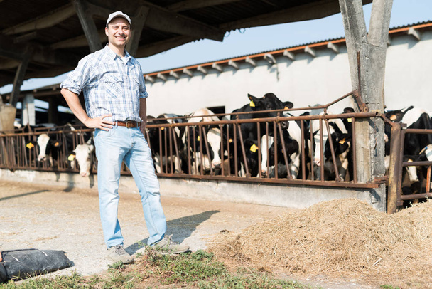 Breeder in front of his cows - Photo, Image