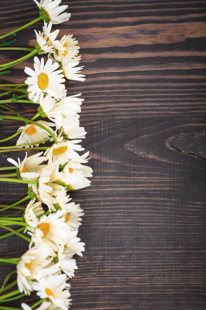 Daisy chamomile flowers on wooden background. - Zdjęcie, obraz