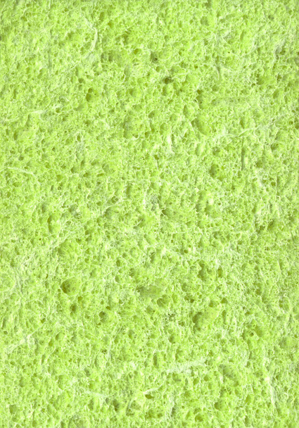 Sponge. Abstract texture - Fotografie, Obrázek