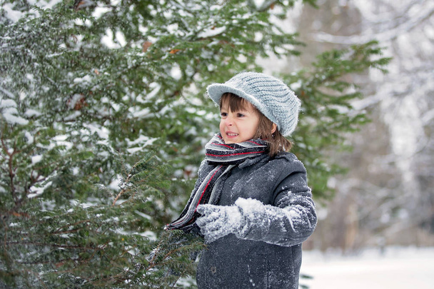 Happy little child, boy, playing outdoors in a snowy park - Foto, Imagem