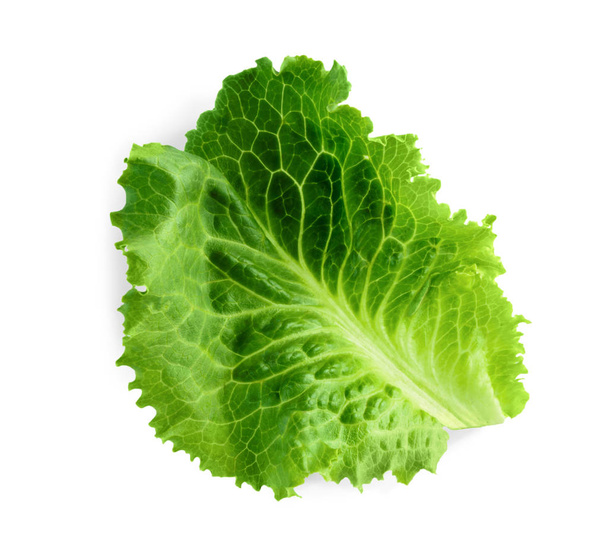 Vihreä tuore salaatti eristetty valkoisella pohjalla
 - Valokuva, kuva