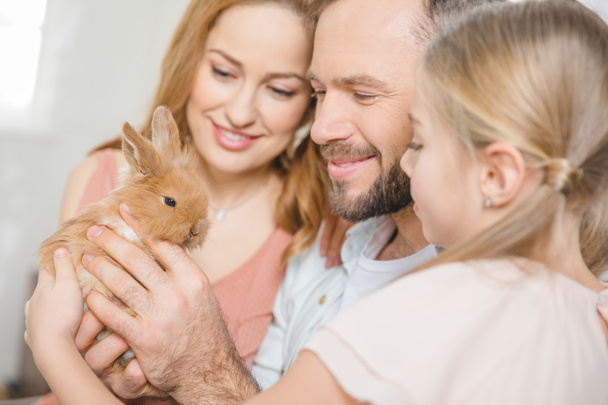 glückliche Familie mit Kaninchen - Foto, Bild