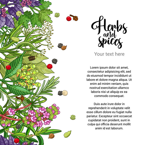 Vektori kasviperäisten kortin suunnittelu mausteet ja yrtit
 - Vektori, kuva