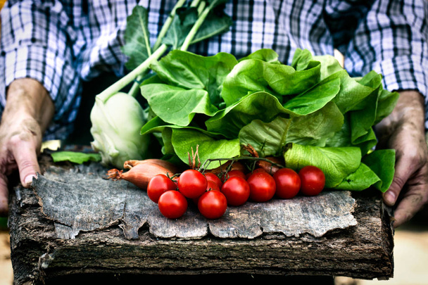 čerstvě sklizené zeleniny - Fotografie, Obrázek