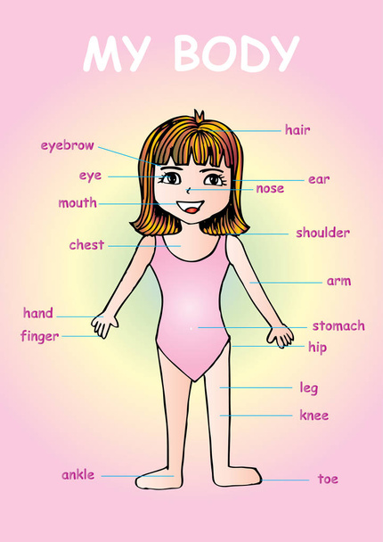 Το σώμα μου», εκπαιδευτικές πληροφορίες γραφικό διάγραμμα για παιδιά δείχνει μέρη του ανθρώπινου σώματος από μια χαριτωμένη γελοιογραφία κορίτσι. - Φωτογραφία, εικόνα