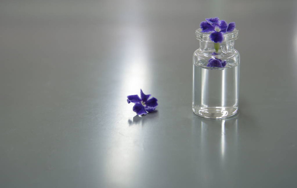 фиолетовый цветок в научном флаконе в лаборатории
 - Фото, изображение