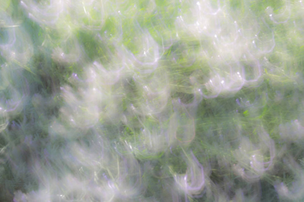 Blurred abstract background - Φωτογραφία, εικόνα