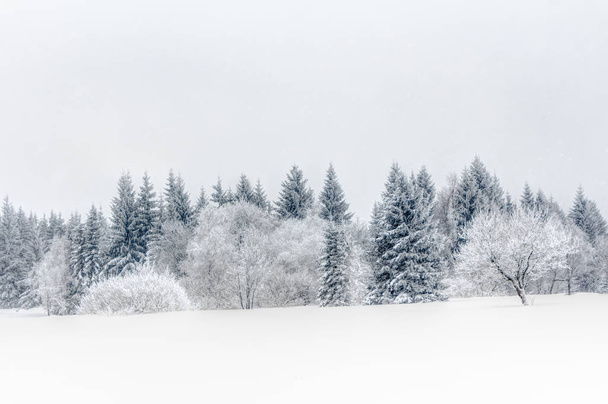 Landscape of snowy mountains in the highlands - Fotografie, Obrázek
