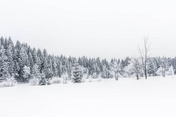 Landscape of snowy mountains in the highlands - Valokuva, kuva