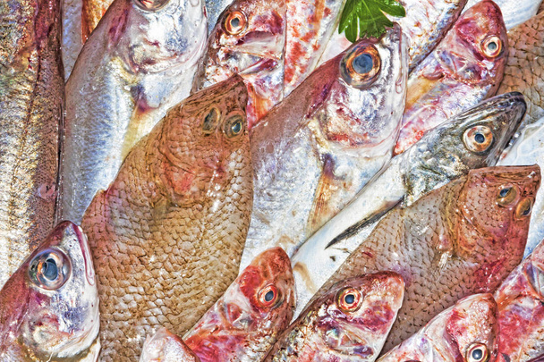 Red mullet and mediterranean fish - Photo, Image