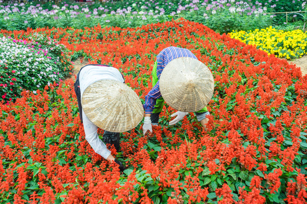 Due donne che lavorano in giardino
 - Foto, immagini