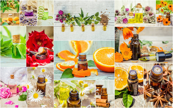collage of herbs and essential oil.  - Photo, Image
