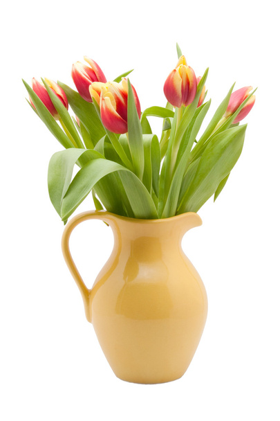 Red and yellow tulips isolated on white background - Photo, image