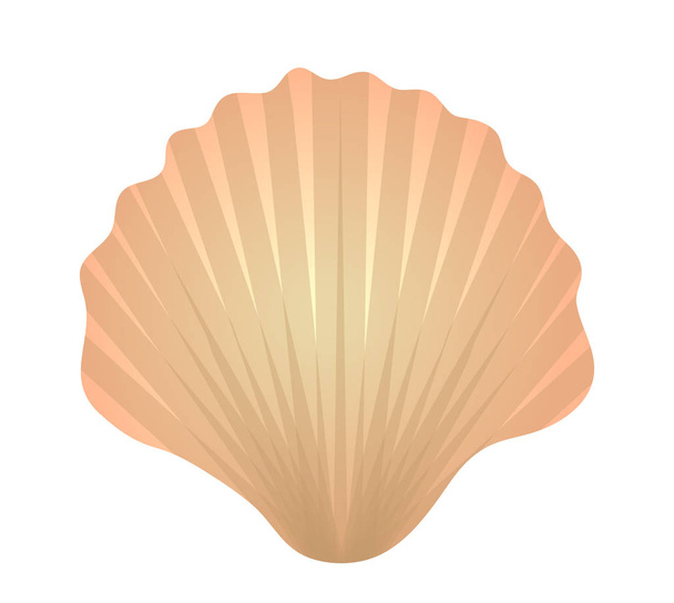 Shell pictogram logo element. Vlakke stijl, geïsoleerd op witte achtergrond. Vector illustratie, clip art. - Vector, afbeelding