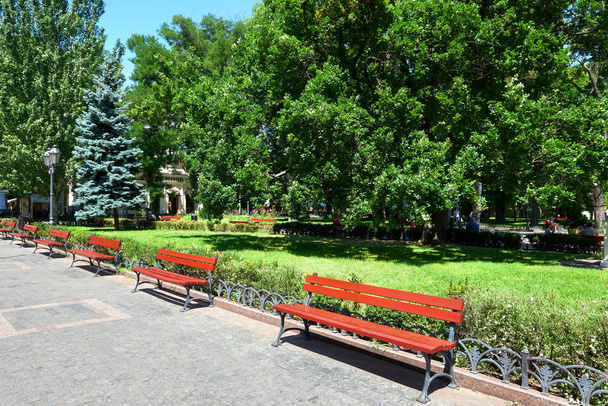 zomer stadspark, zonnige dag, bomen met schaduwen en groen gras - Foto, afbeelding