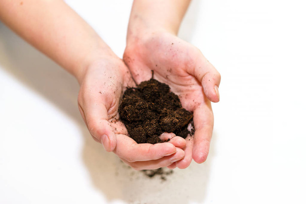 Fertile soil in hands - Zdjęcie, obraz