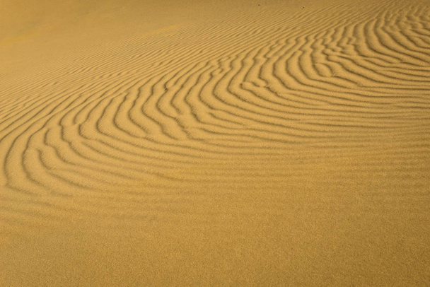 Desert in Iran - Photo, Image