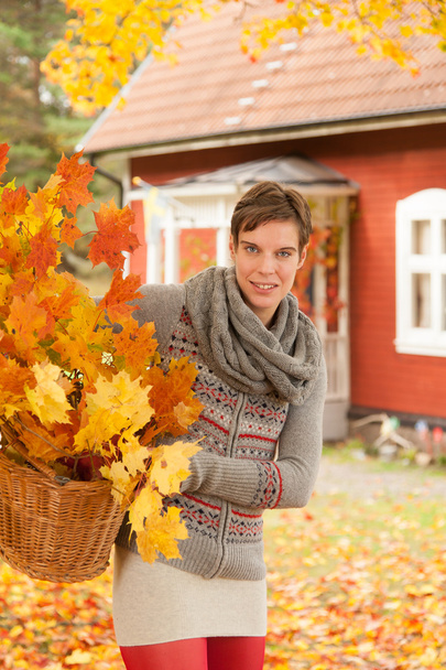 Donna attraente che raccoglie foglie di autunno - Foto, immagini
