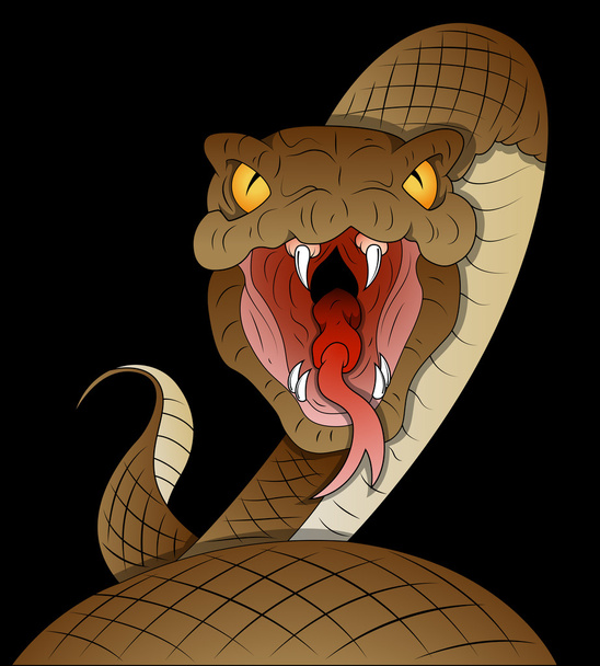 Vetor da serpente
 - Vetor, Imagem
