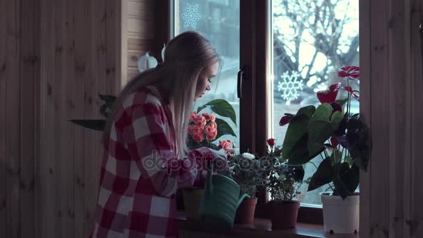 若い女性が鍋で花に水をまく - 映像、動画